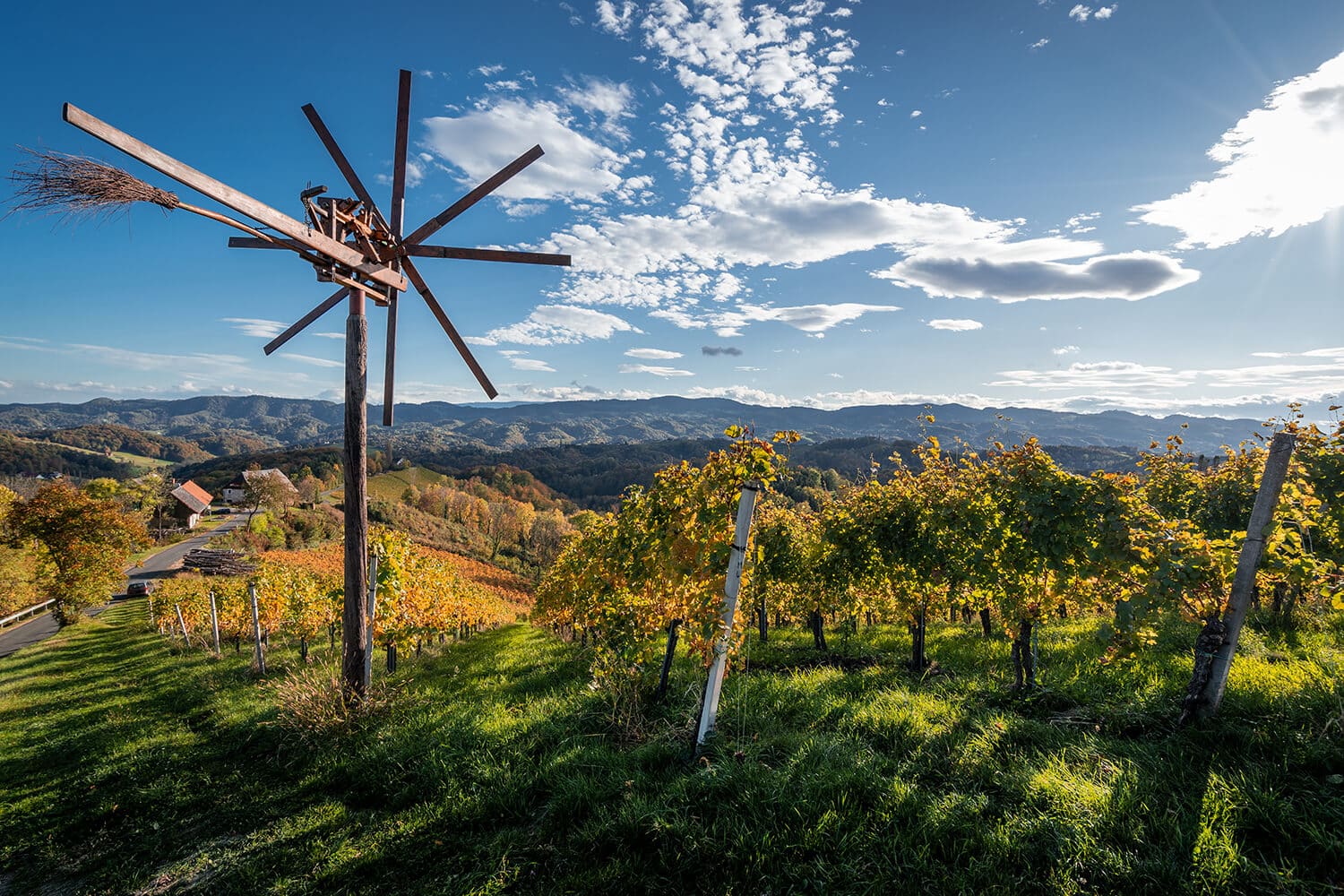 Weinbaugebiet Südsteiermark